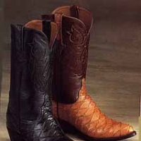 Vintage Anteater Boots